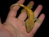 DSCN2812.JPG