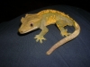 DSCN2814.JPG