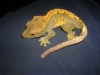 DSCN2818.JPG