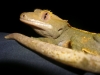 DSCN2820.JPG