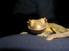 DSCN2823.JPG