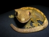 DSCN2828.JPG
