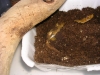 DSCN3621.JPG