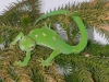 DSCN4404.JPG