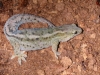 DSCN5580.JPG