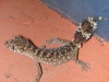 DSCN5770.JPG