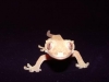 gecko_up_close.jpg