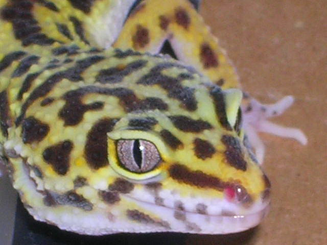 10551DSCN1543