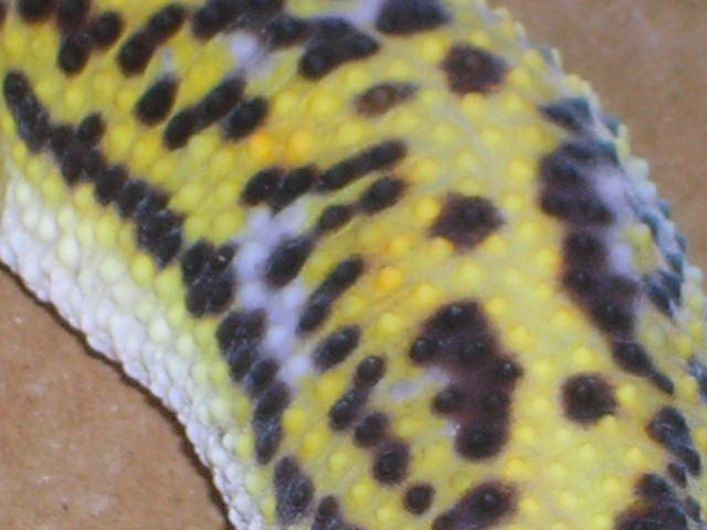 10551DSCN1554