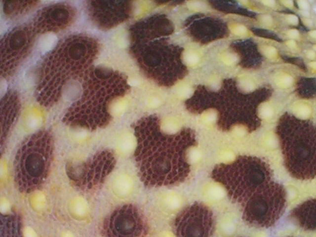 10551DSCN1609