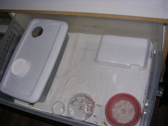 DSCN2651
