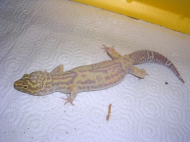 DSCN2676