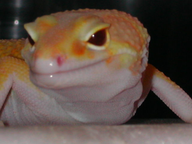 DSCN4480