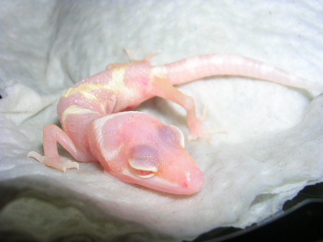 DSCN4912