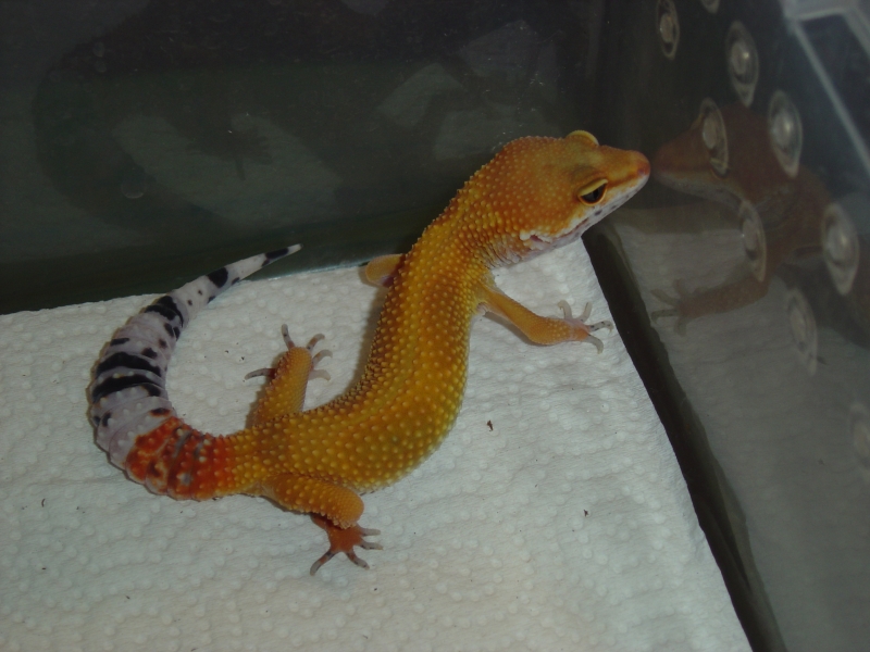 Tornado_shoot_11-06-05_017teeb5f