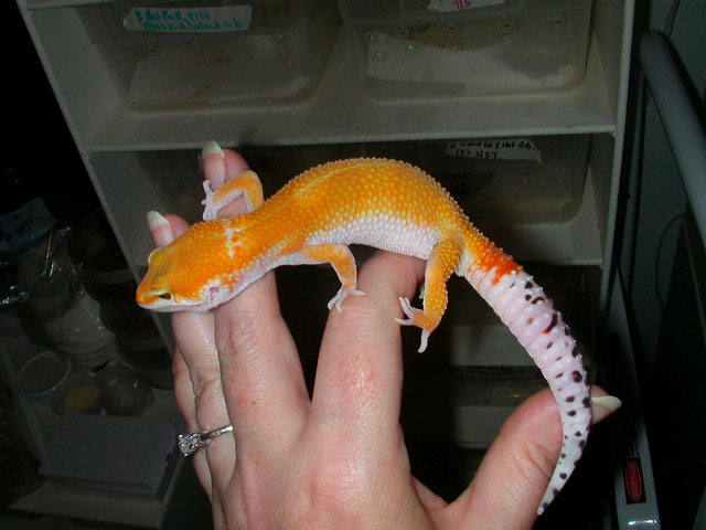 holdbackmaybe