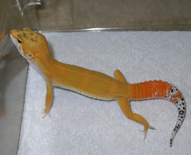 male05tang