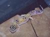 100_3295.JPG