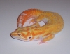 100_5865.JPG