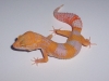 100_6060.JPG