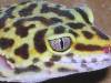 10551DSCN1555.JPG
