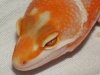 2005_0506_026_.jpg