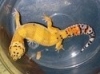 3-03-13_012.JPG