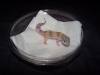 BABY1HYPO.JPG