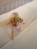 DSCF0516.JPG
