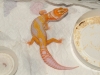 DSCF2553.jpg