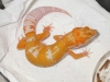 DSCN0006.jpg
