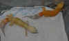 DSCN0174.JPG