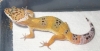 DSCN0505.JPG