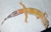 DSCN0631.JPG