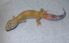 DSCN0634.JPG