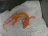 DSCN1742.JPG