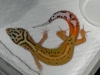 DSCN1755.JPG