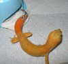 DSCN2051.JPG