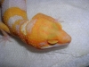 DSCN2582.JPG