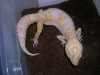 DSCN2638.JPG