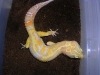 DSCN2639.JPG