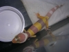 DSCN2649.JPG