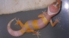 DSCN2670.JPG