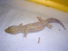 DSCN2676.JPG