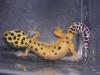 DSCN2679.JPG