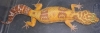 DSCN2680.JPG