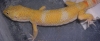 DSCN2691.JPG