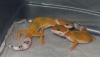 DSCN2764.JPG
