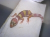 DSCN2792.JPG