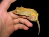 DSCN2809.JPG